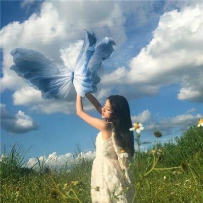 圣的青春 在线观看封面