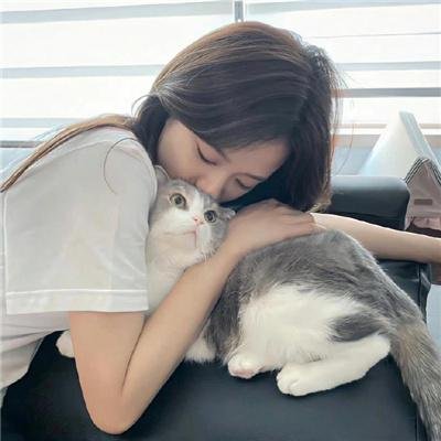 上班一条虫 在线观看封面