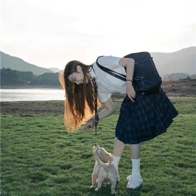 佐佐木与宫野 在线观看封面